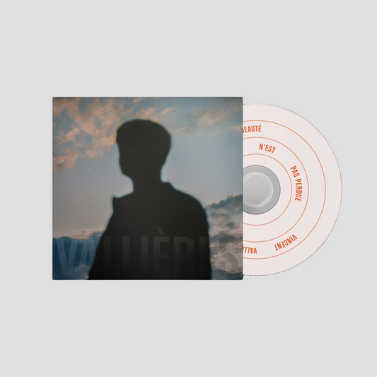 Toute beauté n'est pas perdue - CD