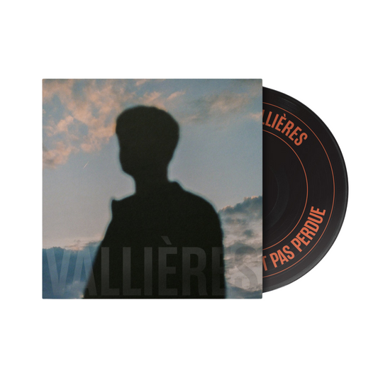 Toute beauté n'est pas perdue - Vinyle