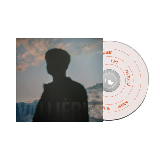 Toute beauté n'est pas perdue - CD