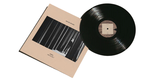 PRÉCOMMANDE - Vinyle Après, on va où ?